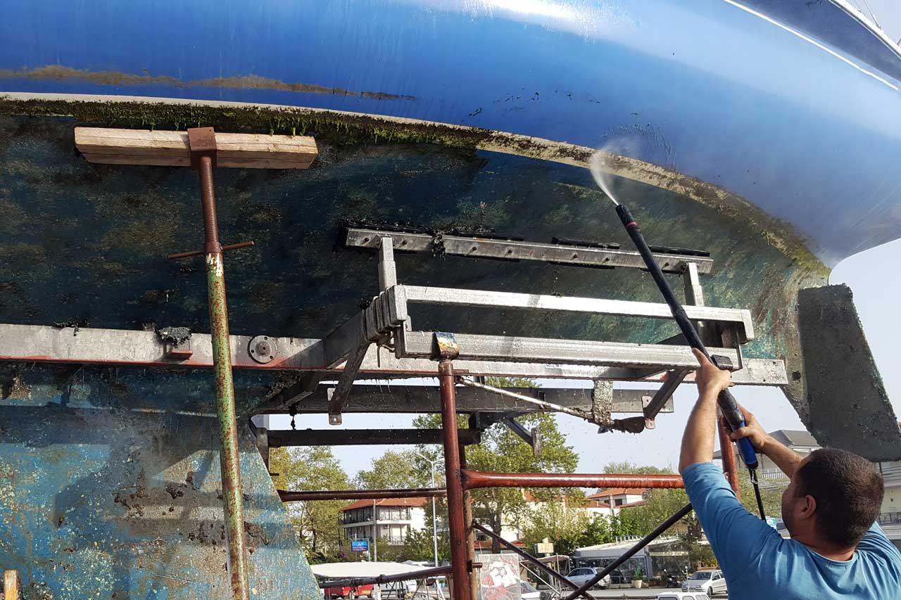 Invasive Species Wash